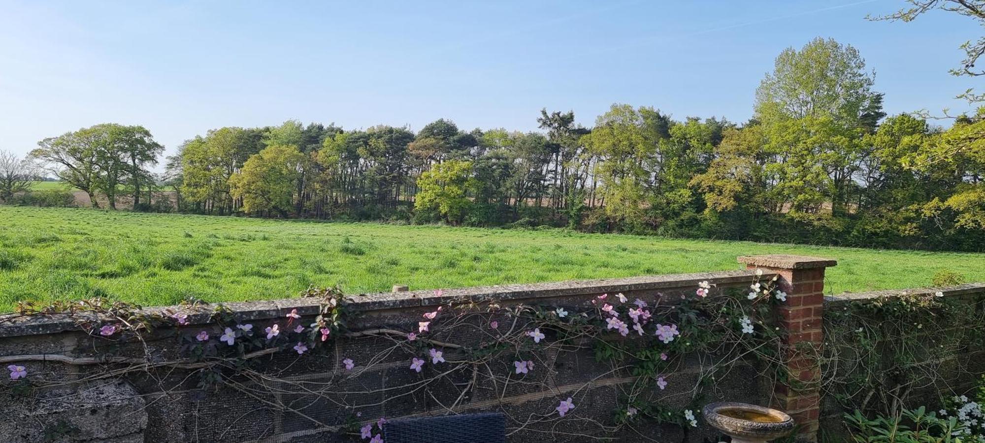 Begonia Cottage Briston 외부 사진