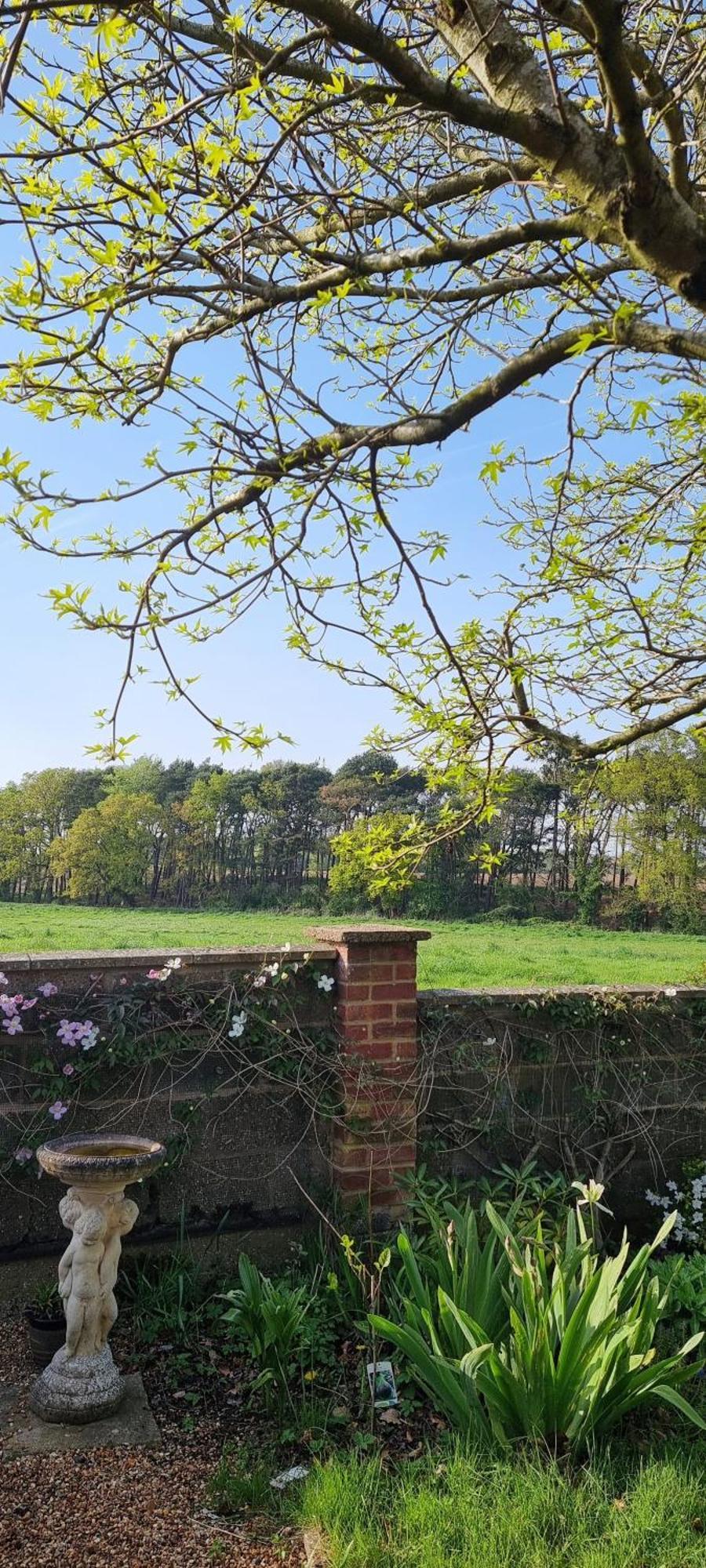 Begonia Cottage Briston 외부 사진